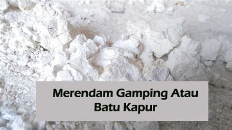 Bahan Ganti Kapur Dalam Resipi